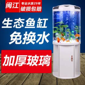 半圓魚缸造景攻略：半圓魚缸造景的基本步驟