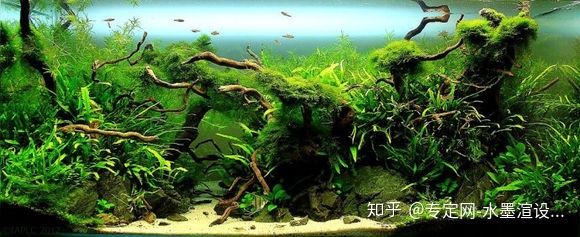 不用的魚(yú)缸可以做什么手工：不用的魚(yú)缸可以做什么手工， 魚(yú)缸百科 第1張