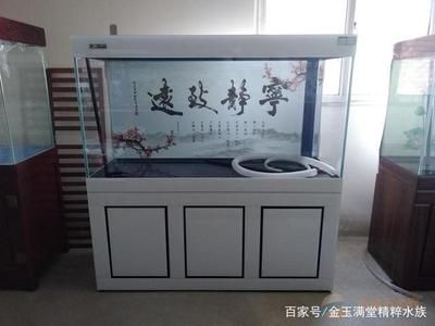 玻璃膠做魚缸：如何使用玻璃膠制作魚缸 魚缸百科 第2張