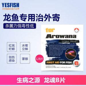 龍魚成年都有外寄嗎：龍魚成年后有外寄嗎，龍魚成年后有可能出現(xiàn)外寄嗎 龍魚百科 第1張