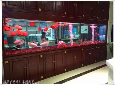 超大型魚缸用什么玻璃比較好：超大型魚缸玻璃厚度選擇指南 魚缸百科 第2張