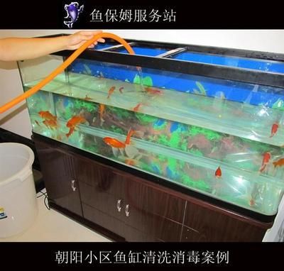 大魚缸怎么消毒方便又好用 魚缸百科 第3張