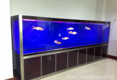 玻璃魚缸廠家直銷價格：玻璃魚缸廠家直銷價格從1000元到6000元不等 魚缸百科 第1張