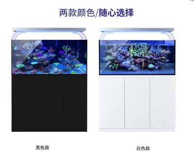 超白魚缸金晶玻璃好嗎：玻璃家族的“水晶王子”——金晶超白玻璃 魚缸百科 第3張