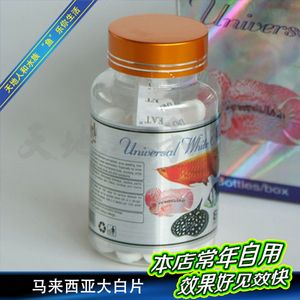 龍魚把大白片吃了沒事吧怎么辦：龍魚吃了大白片怎么辦 龍魚百科 第1張