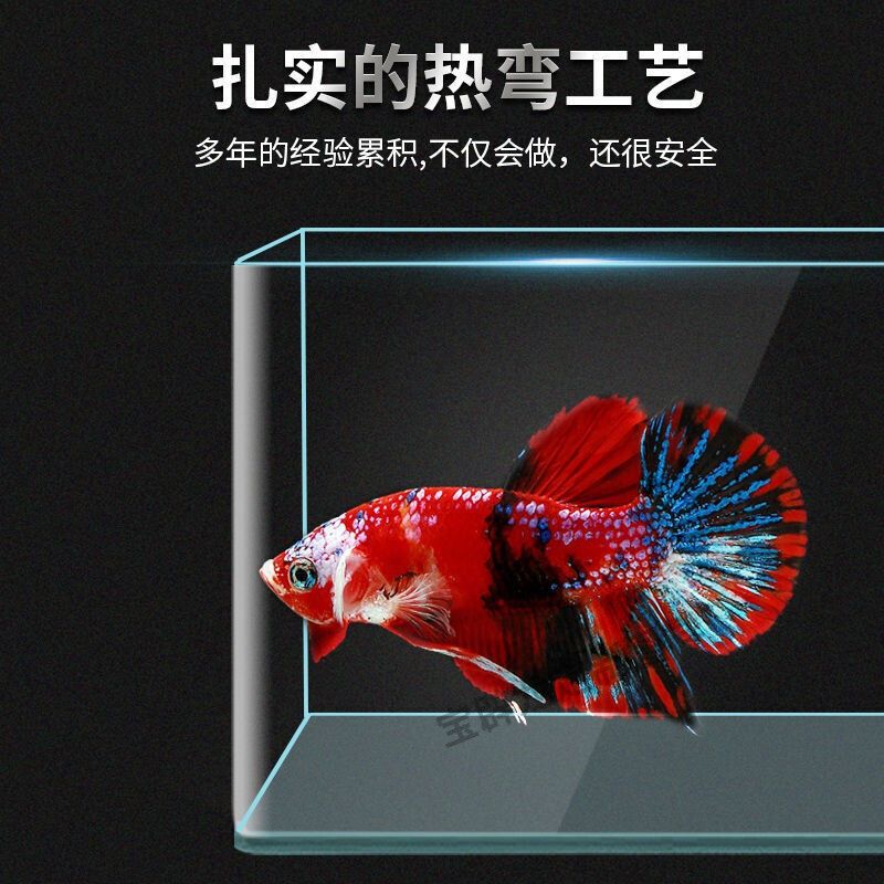 承包酒店魚(yú)缸合同模板：如何制定承包酒店魚(yú)缸合同