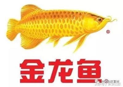 金龍魚安全嗎：金龍魚在產(chǎn)品質量與安全、生產(chǎn)過程透明化以及對抗網(wǎng)絡謠言的泛濫