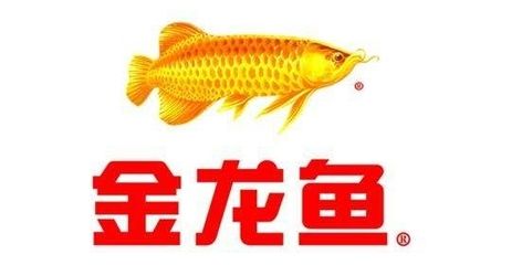 金龍魚安全嗎：金龍魚在產(chǎn)品質量與安全、生產(chǎn)過程透明化以及對抗網(wǎng)絡謠言的泛濫