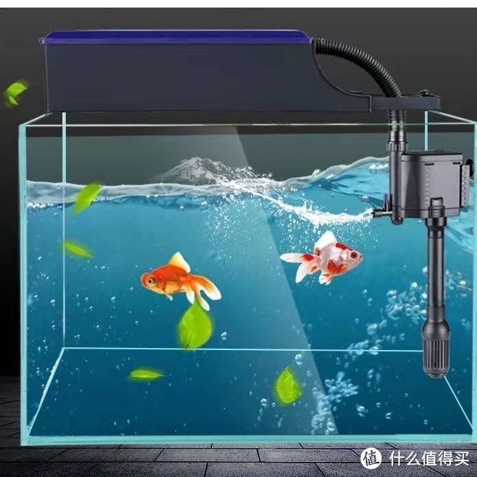 帶蓋的魚缸怎么改過濾 魚缸百科 第1張