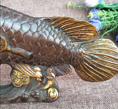 金龍魚(yú) 風(fēng)水：金龍魚(yú)在風(fēng)水學(xué)中寓意吉祥有招財(cái)進(jìn)寶、鎮(zhèn)宅化煞的作用 龍魚(yú)百科 第3張