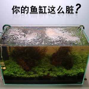 除藻劑魚(yú)缸：十大熱門(mén)魚(yú)缸除藻劑品牌產(chǎn)品排行榜和魚(yú)缸除藻劑品牌排行榜