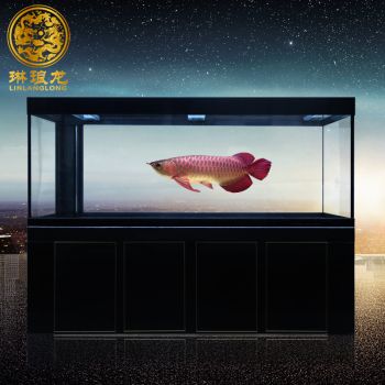 白魚缸和黑魚缸：如何選擇魚缸的顏色