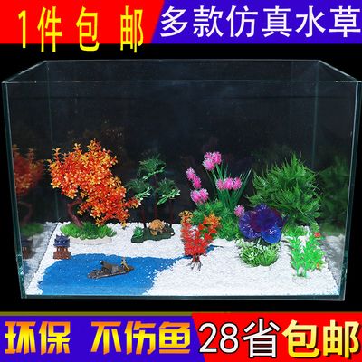 大型魚缸布景效果圖：關(guān)于大型魚缸布景的一些要點和方法