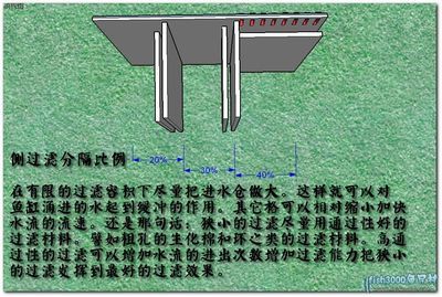 側(cè)過濾魚缸制作：側(cè)過濾魚缸怎么做？