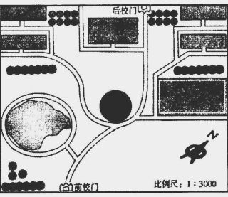 大蘇打放魚缸的比例是多少：大蘇打在魚缸中的作用 魚缸百科 第1張