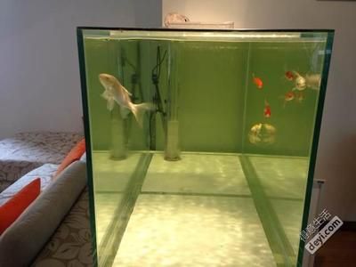 超白玻璃魚缸哪個品牌好：超白玻璃魚缸品牌推薦 魚缸百科 第2張