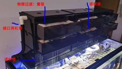 擺放魚缸最佳位置：魚缸擺放與風水 魚缸百科 第3張