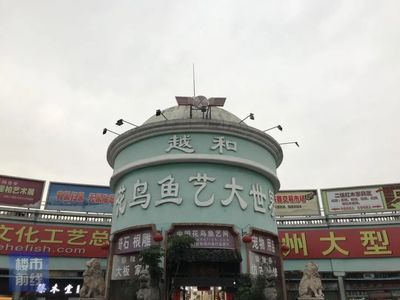 芳村花鳥魚市場搬哪里了實時 廣州水族批發(fā)市場 第4張