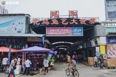 芳村花鳥魚蟲新市場