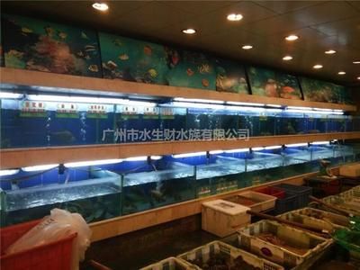 廣州大型水族市場有哪些 廣州水族批發(fā)市場 第1張