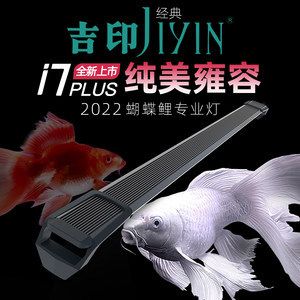 蝴蝶鯉魚缸用什么燈好：i7plus-蝴蝶鯉魚缸燈選擇魚缸燈的選擇 魚缸風(fēng)水 第2張