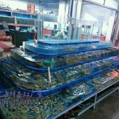 廣州百藝城有賣魚嗎多少錢一條：廣州百藝城觀賞魚批發(fā)市場價格 廣州觀賞魚批發(fā)市場 第1張