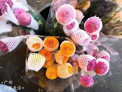 廣州芳村花卉世界：廣州芳村花卉世界是什么？