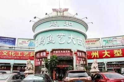 廣州花魚市場(chǎng)在哪：廣州花鳥魚蟲市場(chǎng)