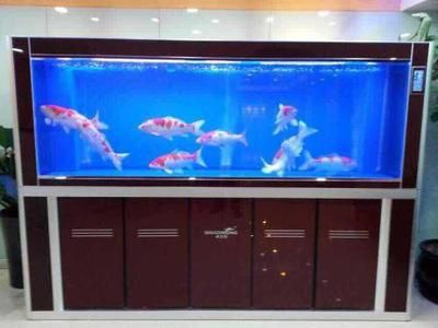 店里魚缸的擺放位置：店里魚缸擺放位置的講究 魚缸風(fēng)水 第4張