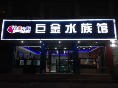 廣州 魚缸專賣店在哪里啊：廣州幾家提供魚缸銷售和服務的店鋪 廣州水族批發(fā)市場 第4張