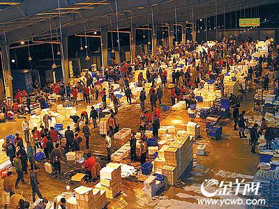 芳村花鳥魚市開業(yè)了嗎今天：芳村花鳥魚蟲市場已經(jīng)完成搬遷 廣州水族批發(fā)市場 第1張