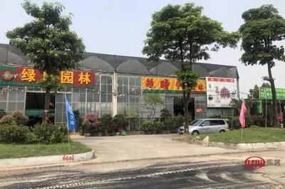 芳村花鳥魚蟲市場屬于哪個街道社區(qū)：廣州芳村花鳥魚蟲市場地址芳村花鳥魚蟲市場交通指南 廣州水族批發(fā)市場 第1張