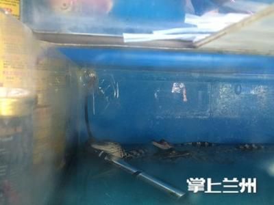 花鳥市場魚缸價格多少錢一個：花鳥市場魚缸價格多少 魚缸風水 第2張