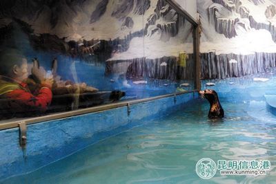 花鳥市場魚缸價格多少錢一個：花鳥市場魚缸價格多少 魚缸風水 第3張