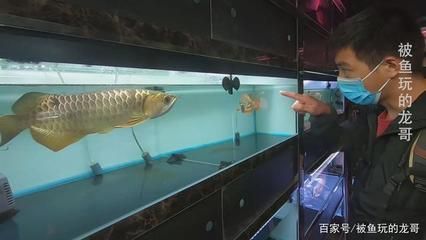 廣州最大的觀賞魚市場在哪里：廣州最大的觀賞魚市場 廣州觀賞魚批發(fā)市場 第1張