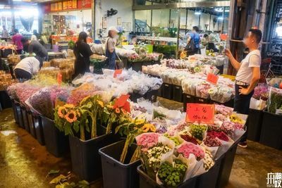 芳村花卉市場幾點開市 廣州水族批發(fā)市場 第3張