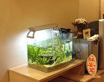 家里放個魚缸好不好：家里放置魚缸有什么好處？ 魚缸風水 第3張