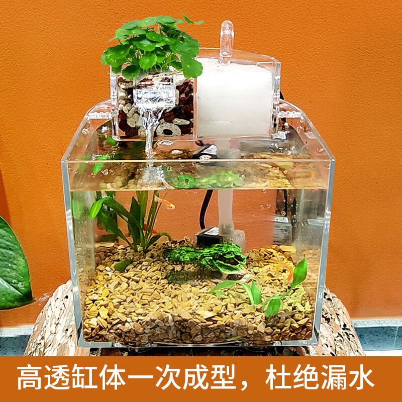 大型魚缸漏水怎么辦：大型魚缸漏水的修復(fù)方法和注意事項(xiàng)和注意事項(xiàng) 魚缸百科 第3張