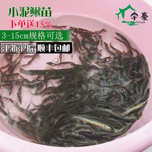 很大的觀賞魚：養(yǎng)殖大型觀賞魚的注意事項 魚缸風(fēng)水 第1張