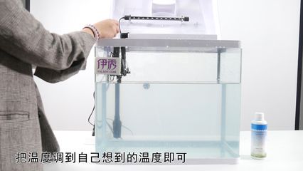 冬天怎么給魚缸保暖：冬天給魚缸保暖的一些方法，冬季養(yǎng)魚需要注意什么 魚缸百科 第4張