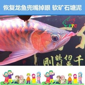 如何避免龍魚兜嘴：怎樣避免龍魚兜嘴 龍魚百科 第2張