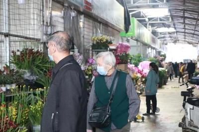 芳村花卉市場搬哪里去了：廣州花卉市場的變遷史廣州花卉市場到現代化的廣州花卉博覽園 廣州水族批發(fā)市場 第1張