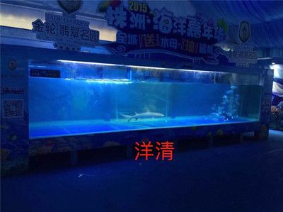 廣州大型魚(yú)缸定做店在哪里找：廣州大型魚(yú)缸定做店可以從下幾個(gè)途徑獲取更多信息 廣州水族批發(fā)市場(chǎng) 第4張