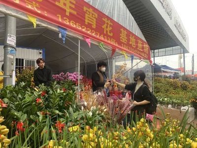 百藝城花鳥魚蟲新世界過年放假嗎：百藝城花鳥魚蟲新世界在春節(jié)期間不會放假嗎？ 廣州水族批發(fā)市場 第1張