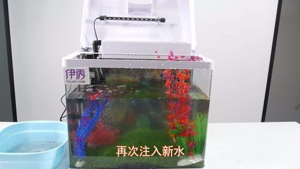 家里的魚缸怎么處理：家里的魚缸如何清洗，如何保養(yǎng)？ 魚缸風(fēng)水 第2張