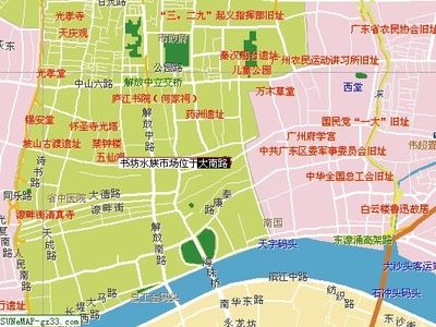 芳村花鳥魚市開業(yè)了嗎：芳村花鳥魚市開業(yè)啦 廣州水族批發(fā)市場 第3張