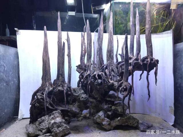 創(chuàng)意造景魚缸設(shè)計(jì)：魚缸造景的種類與選擇 魚缸百科 第3張