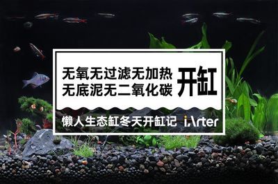 家里的魚(yú)缸能讓太陽(yáng)曬嗎：熱帶魚(yú)缸如何曬太陽(yáng) 魚(yú)缸風(fēng)水 第3張