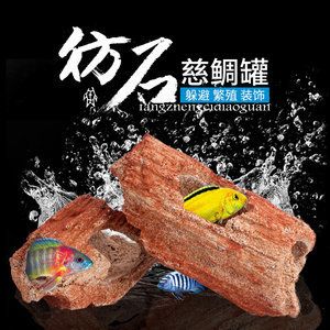 慈鯛魚缸放什么石頭都可以嗎：慈鯛魚缸中的石頭應(yīng)該如何選擇？ 魚缸百科 第4張