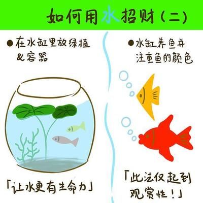 家里放兩個魚缸好不好呢：家里放兩個魚缸好不好？ 魚缸風水 第4張